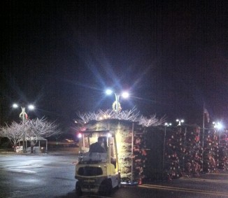 Customer unloading palatalized Christmas trees 
